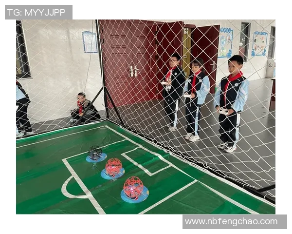 羊口足球的魅力与挑战探索这项新兴运动的未来发展与影响