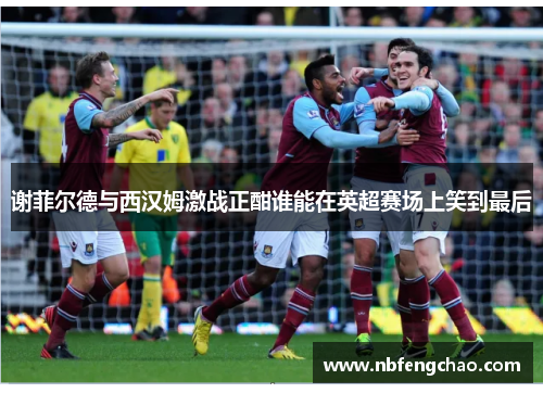 谢菲尔德与西汉姆激战正酣谁能在英超赛场上笑到最后